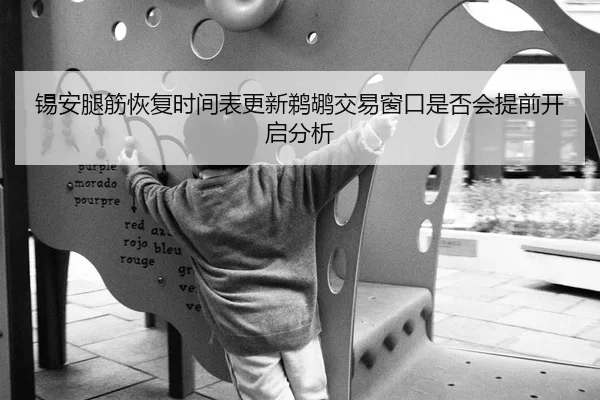 锡安腿筋恢复时间表更新鹈鹕交易窗口是否会提前开启分析