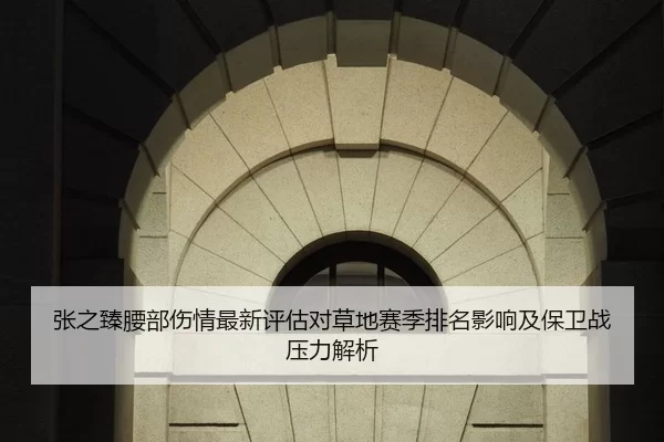 张之臻腰部伤情最新评估对草地赛季排名影响及保卫战压力解析