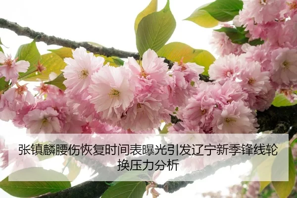 张镇麟腰伤恢复时间表曝光引发辽宁新季锋线轮换压力分析