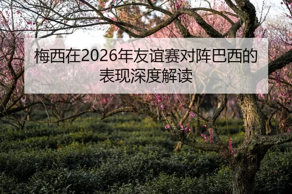 梅西在2026年友谊赛对阵巴西的表现深度解读